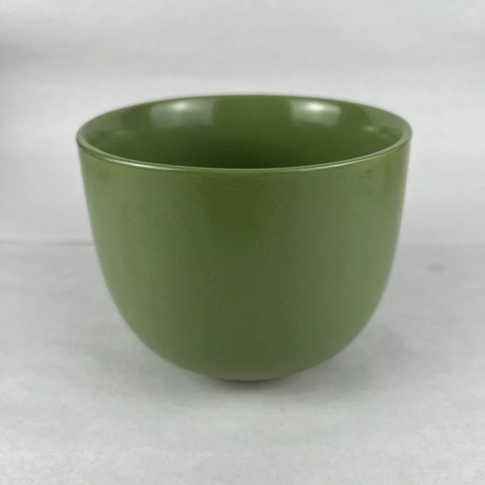 Pier 1 Essential Cafe Au Lait Green Stoneware Mug Dishwasher Microwave‎ Safe